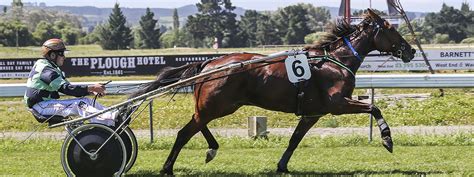 hrnz.co.nz fields|harness racing covert 19 nz 2022.